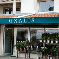 Oxalis - Enseigne et déco vitrine - 40150 Soorts-Hossegor