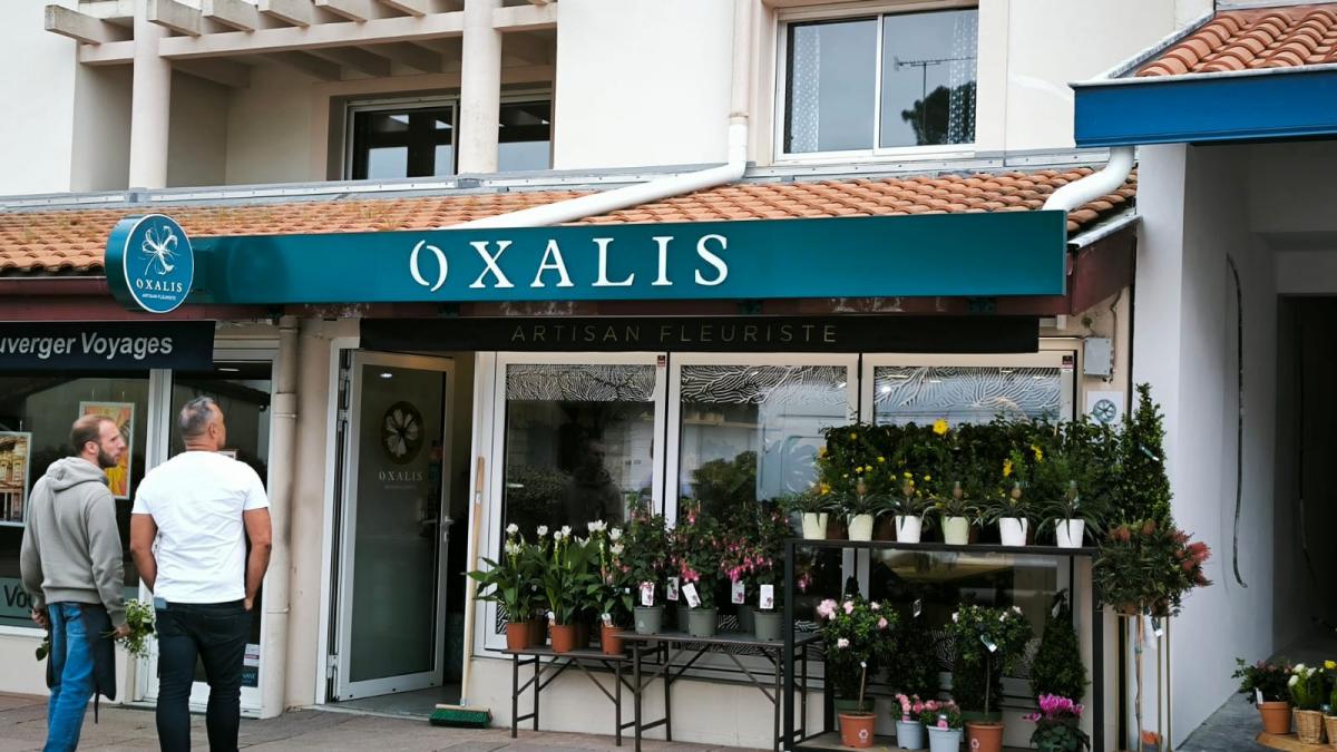 Oxalis - Création du logo - Réalisation et pose de l'enseigne - 40150 Soorts-Hossegor